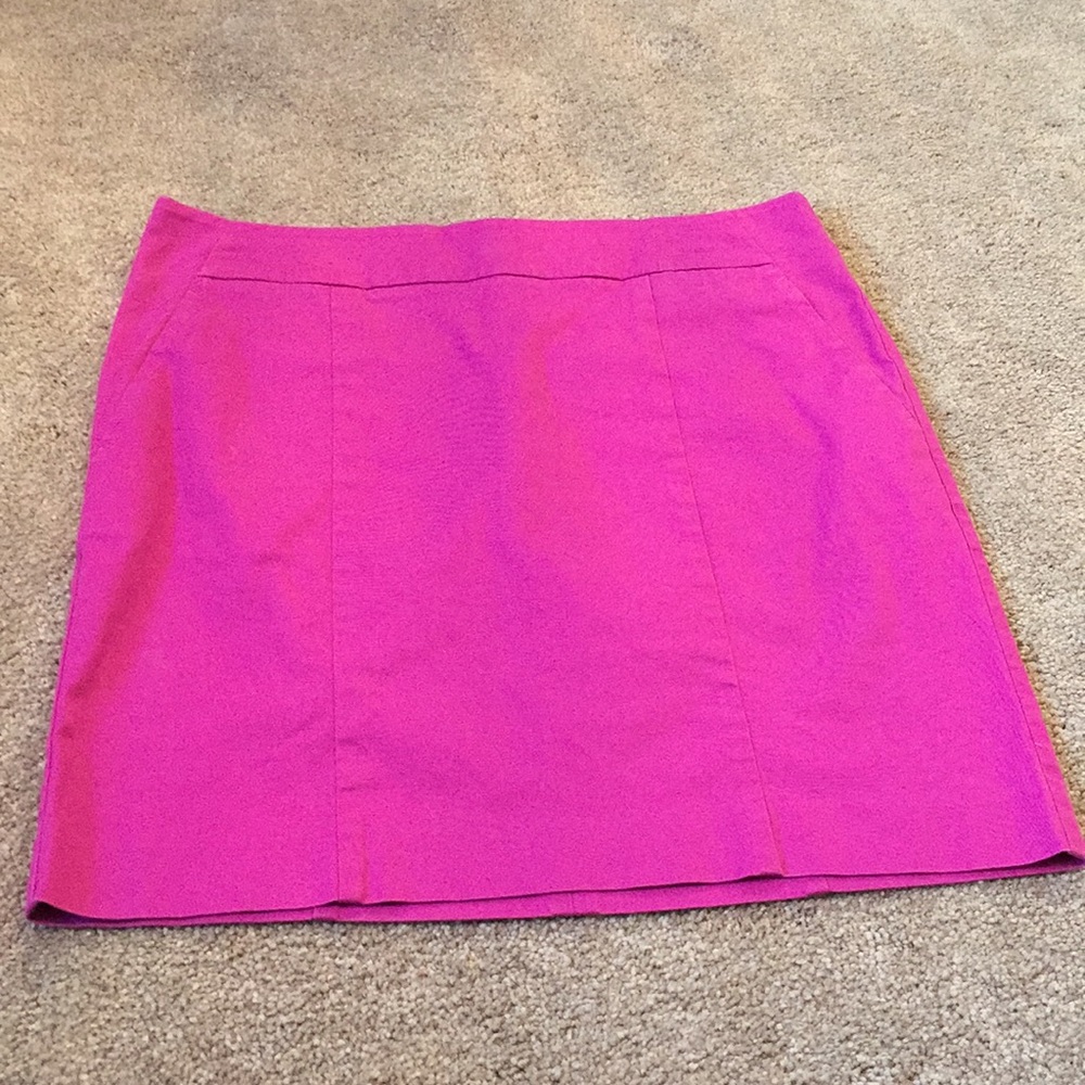 Ann Taylor Madison skirt